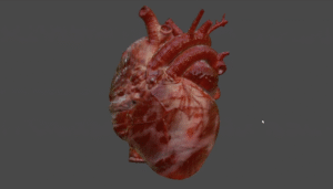 Prevención de riesgos laborales con tecnología aumentada, virtual y mixta